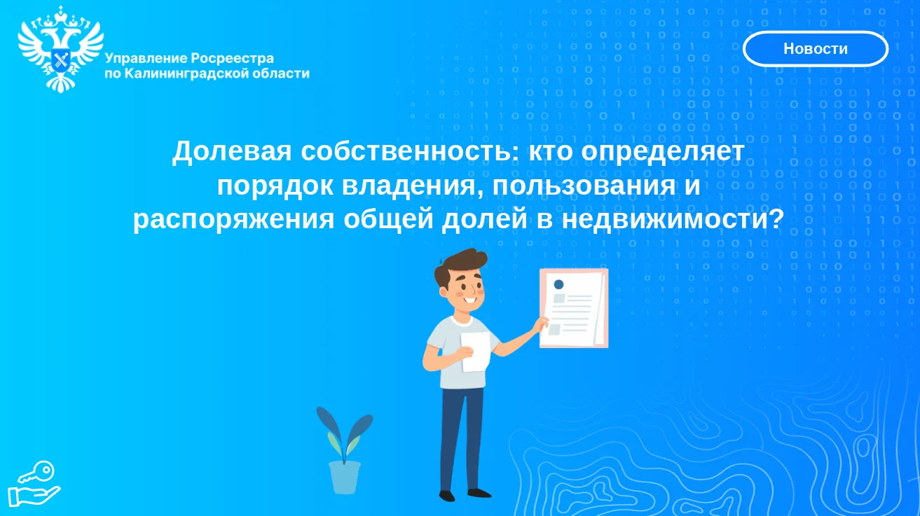 🏡Долевая собственность на объекты недвижимости – будь то земельный участок, квартира, ...