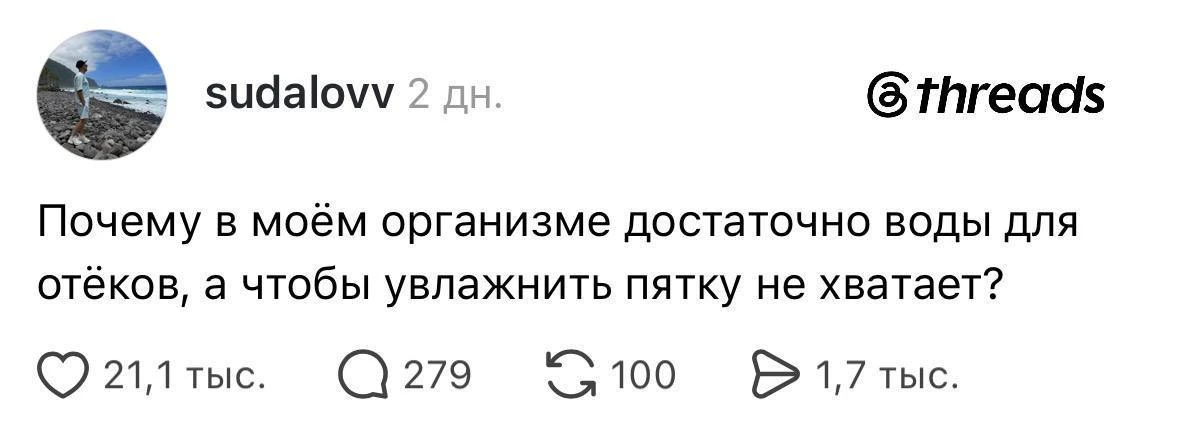 🐈‍⬛ Белее белого