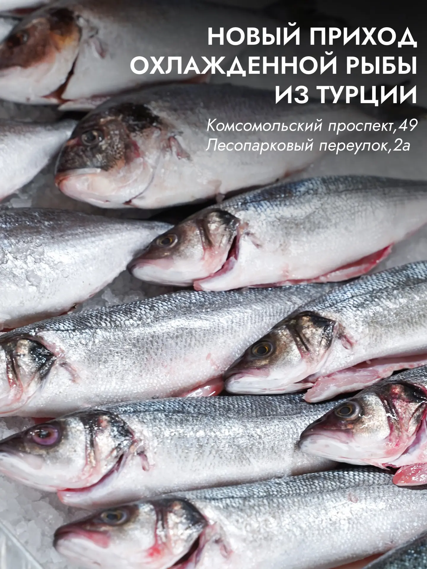 Свежий приход охлажденной рыбы из Турции 🇹🇷🐟