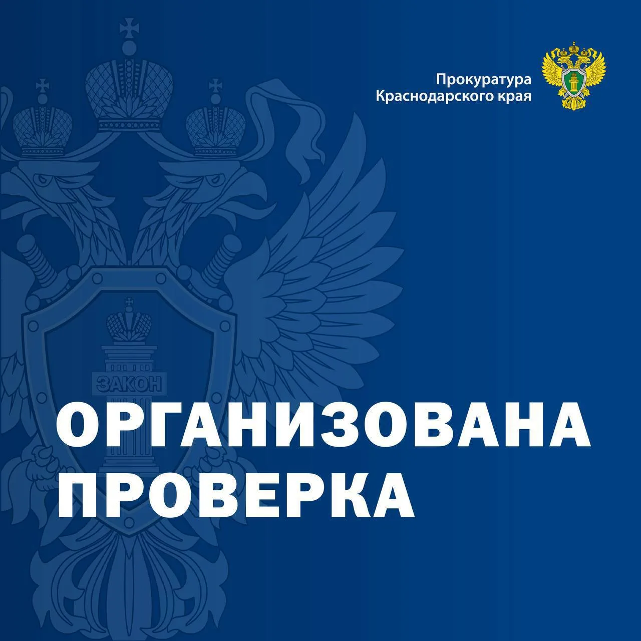 ⚡️⚡️Прокуратура г. Новороссийска организовала проверку по размещенной в СМИ информации о смерти несо