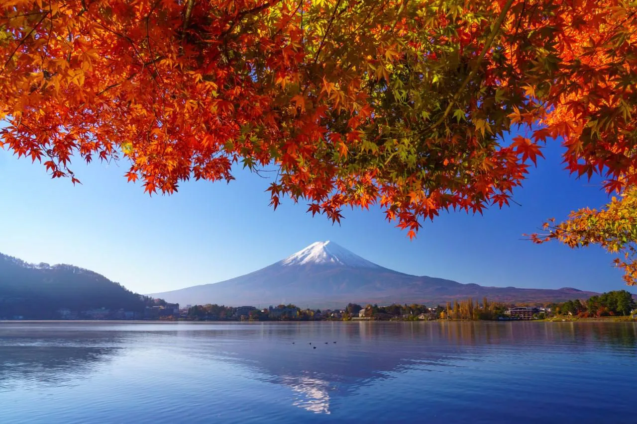 🇯🇵 Япония ближе, чем может показаться 😍