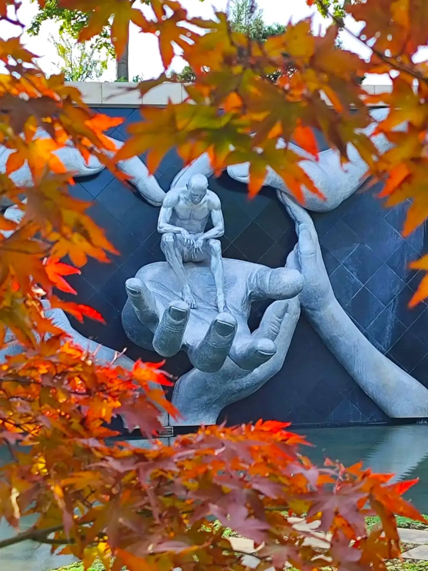 Какова красота: за неделю Парк Галицкого  приоделся в осень 🍂