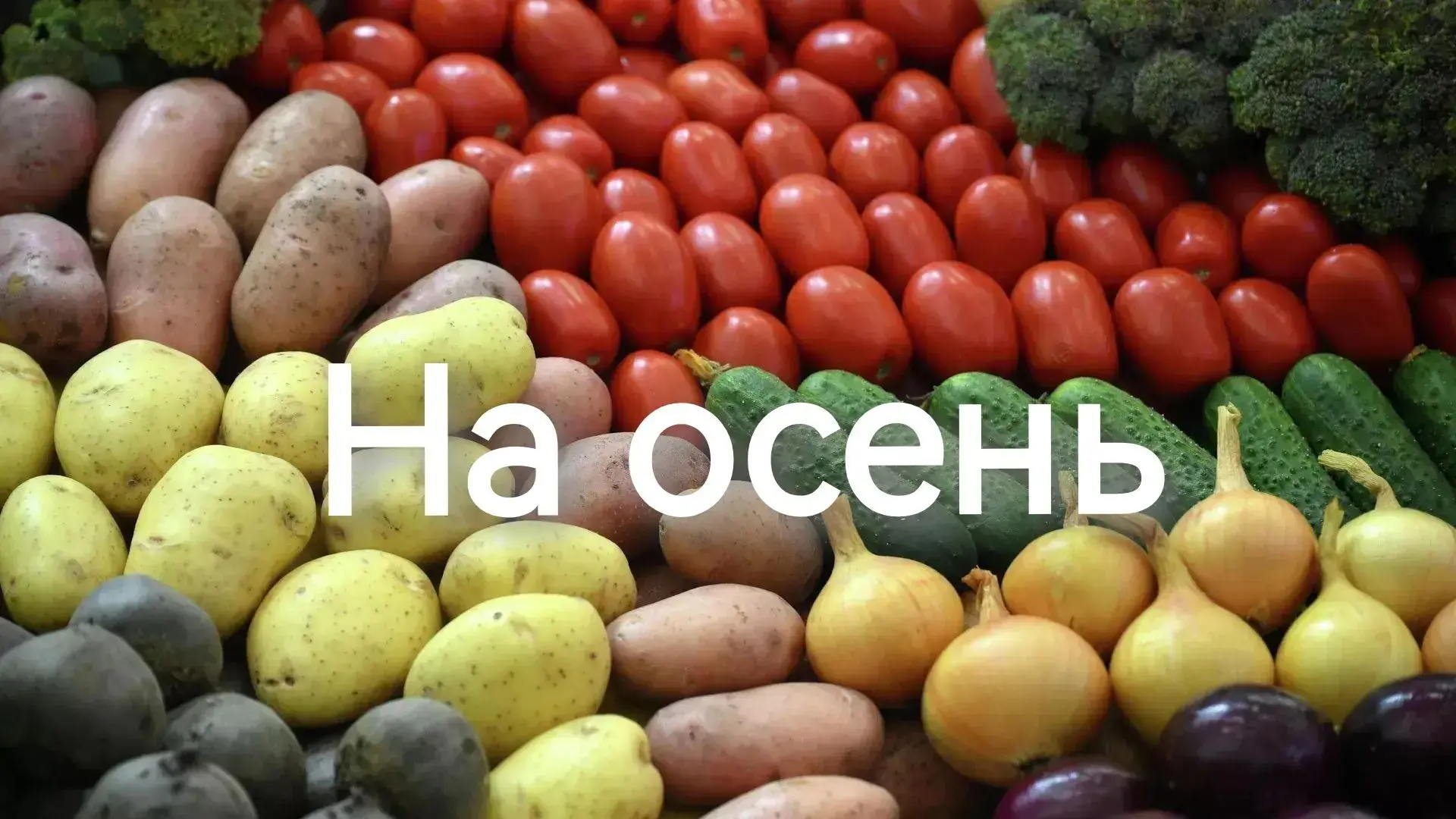 Что есть осенью