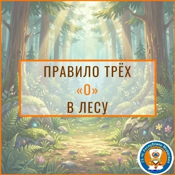 🌲Собираясь в лес, всегда сообщайте близким, куда и на сколько идёте. Возьмите с собой ...