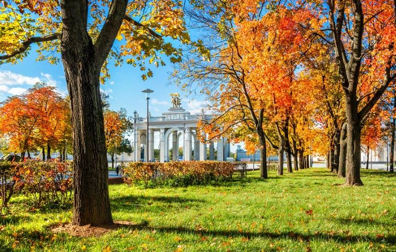 🌤️ «Старое бабье лето» придёт в Москву и МО на этой неделе, — синоптики.