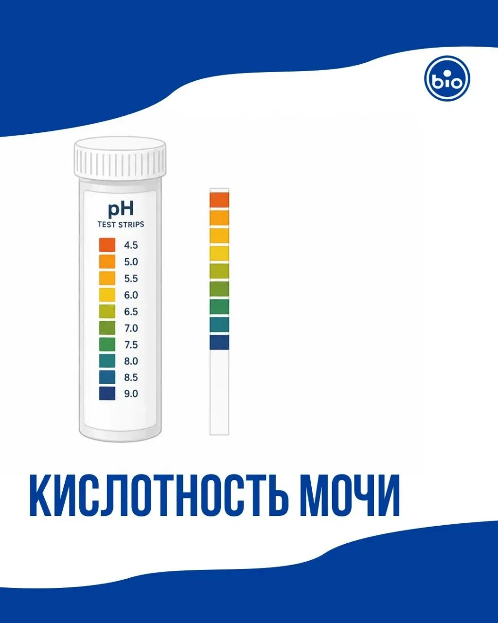 Кислотность мочи (pH)