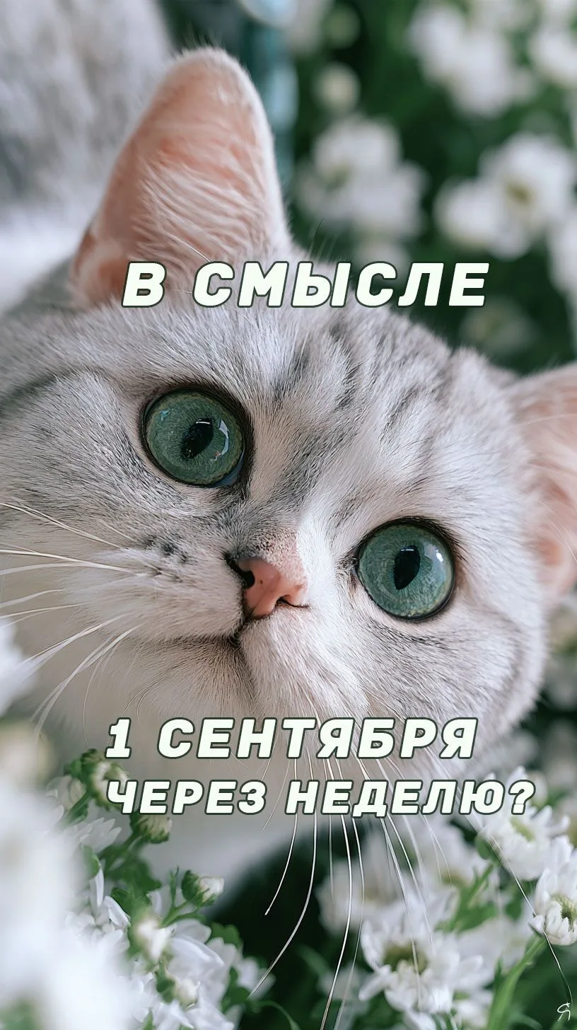 🔥 АРОМАФЕИ, ВНИМАНИЕ: ДО 1 СЕНТЯБРЯ ОСТАЛОСЬ СОВСЕМ НЕМНОГО!