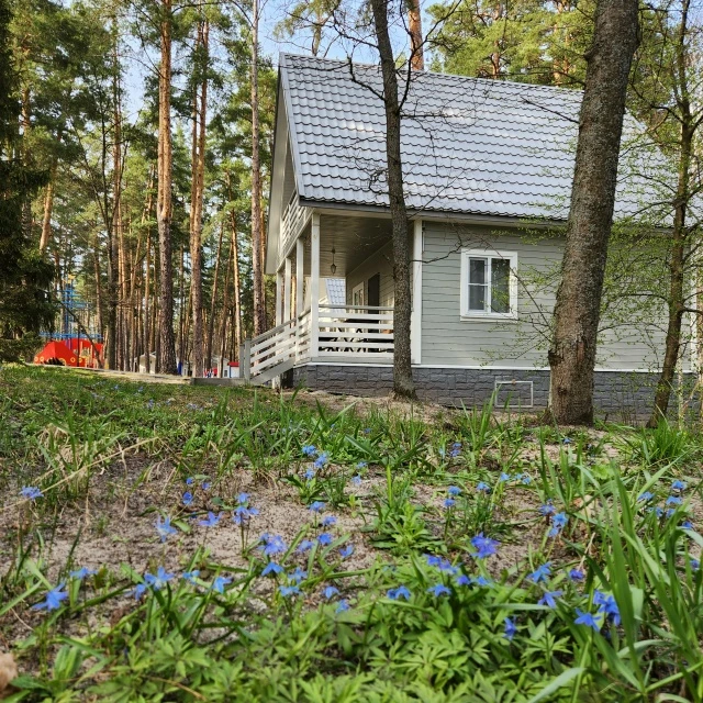 Скидка 50% на все дома действует с 10 по 12 апреля 2026 года.