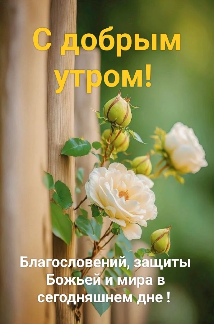 Вам не сложно мне приятно😉
Поставьте реакцию ❤️, если понравилась открытка 🥰

Открытки 💌
👉ПОДПИС