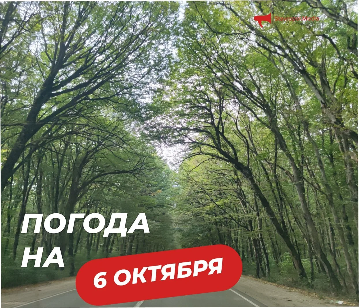 ПОГОДА на сегодня в Ставрополе:
