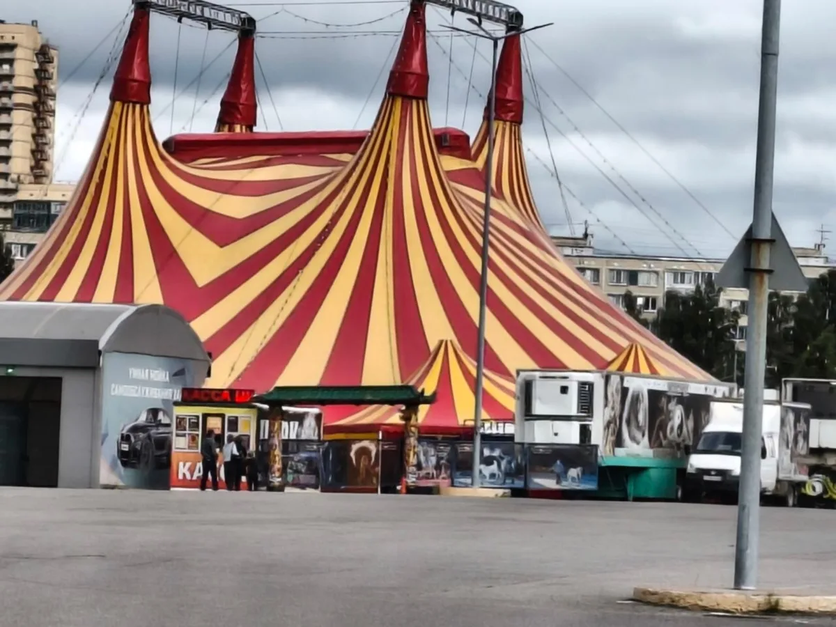 🎪В Петербург приехал передвижной цирк «Золотой дракон» с леопардами. Кто-то — пошёл по...