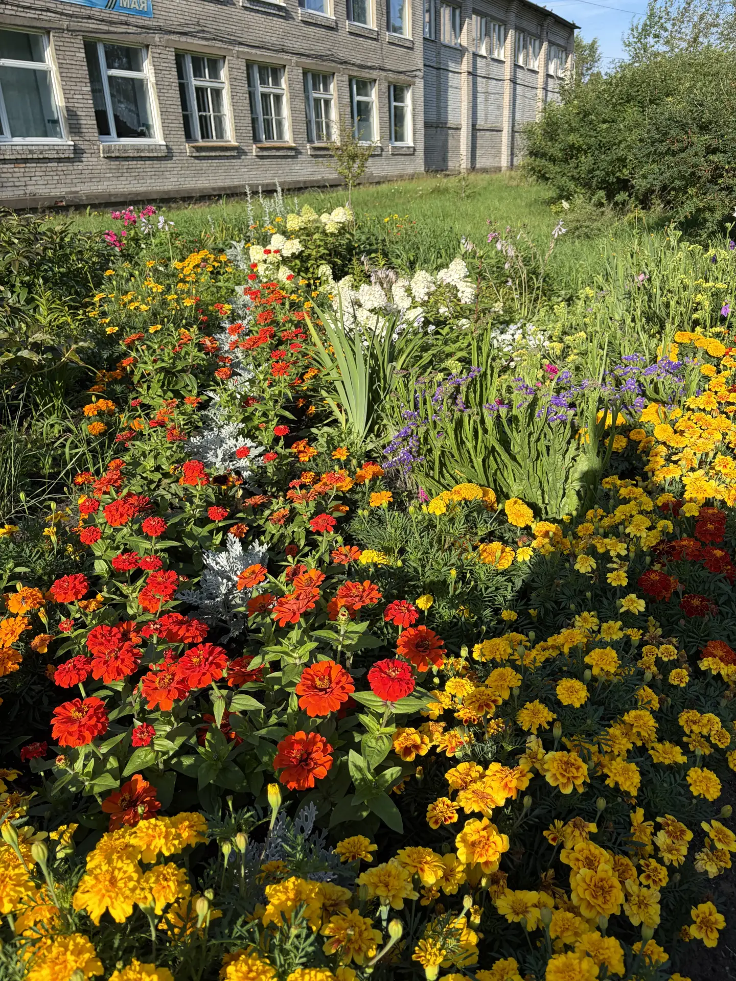 🌸🌷🌺Школьная территория — это не просто двор, это пространство, которое встречает каж...