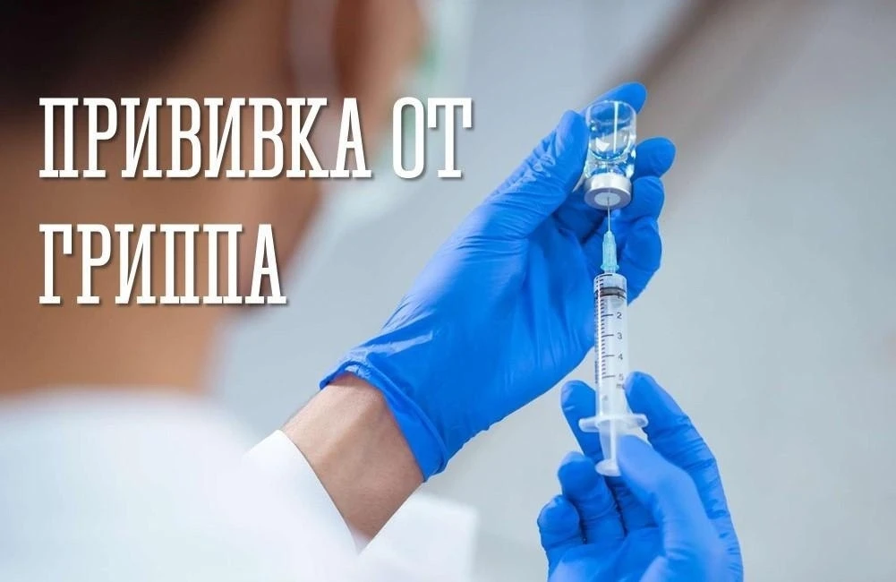 💉 В Мурманской области продолжается прививочная кампания против сезонного гриппа