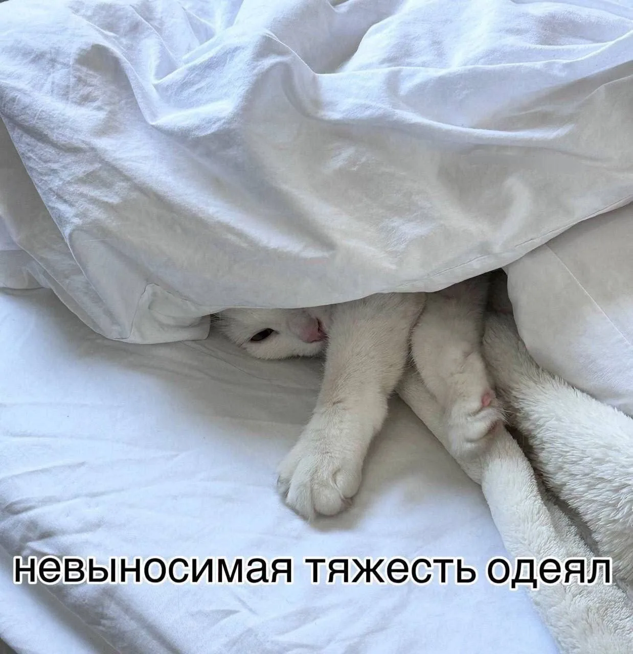 Опять придавила….