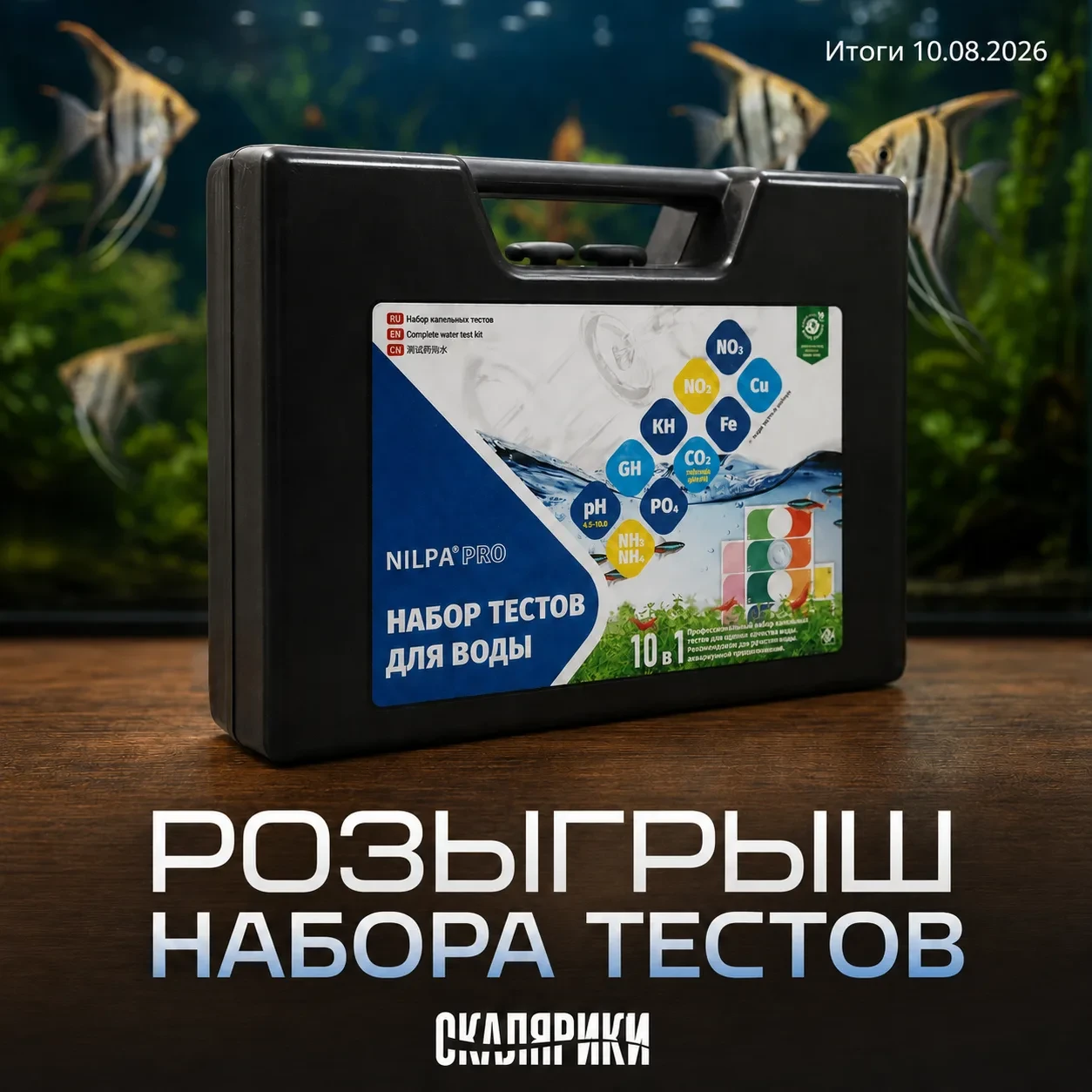 🎁 Розыгрыш набора тестов!
