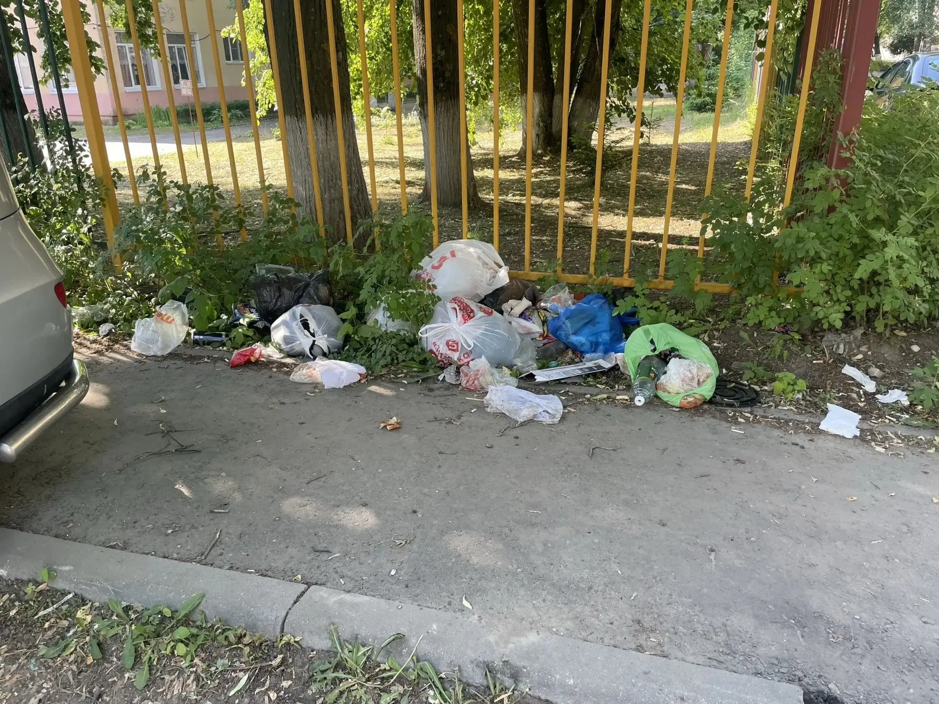 🙄Вайлдберриз, Озон, Пятёрочка, Верный, Магнит, Дикси, Да! и даже Панам точно должны доплачивать нес