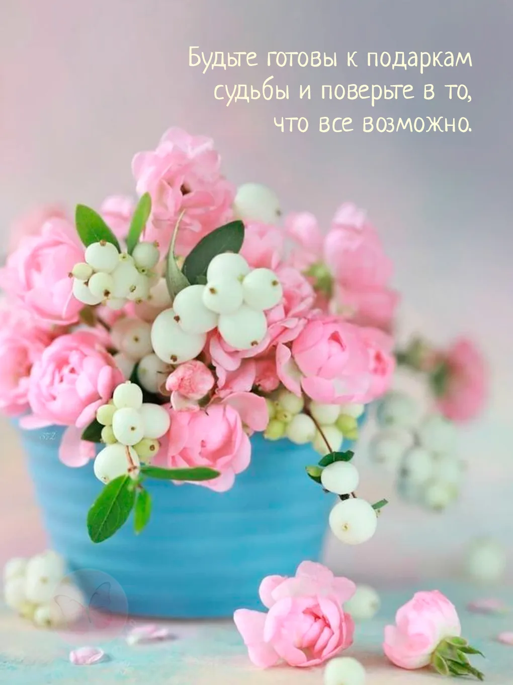 З Е Ф И Р