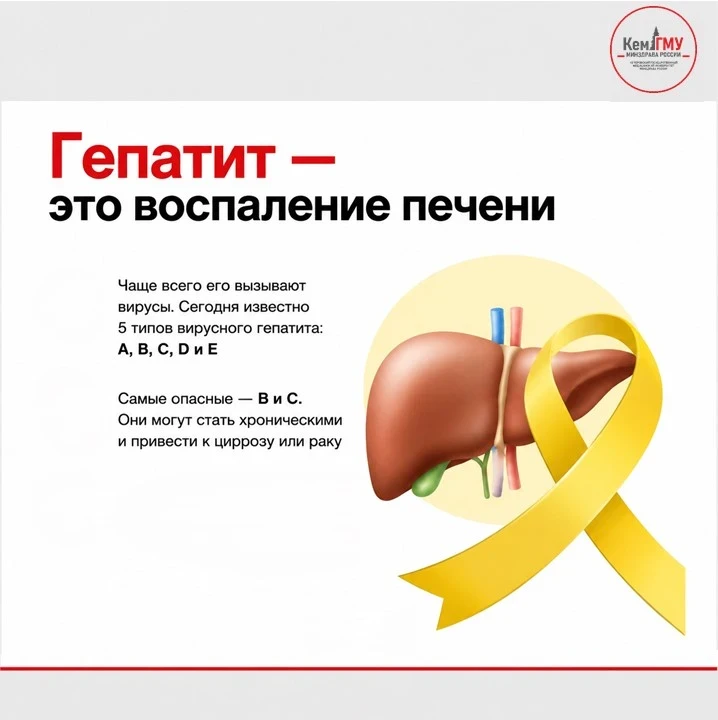 🎗️28 июля — Всемирный день борьбы с гепатитом

Дата выбрана не случайно — это день рождения учёного