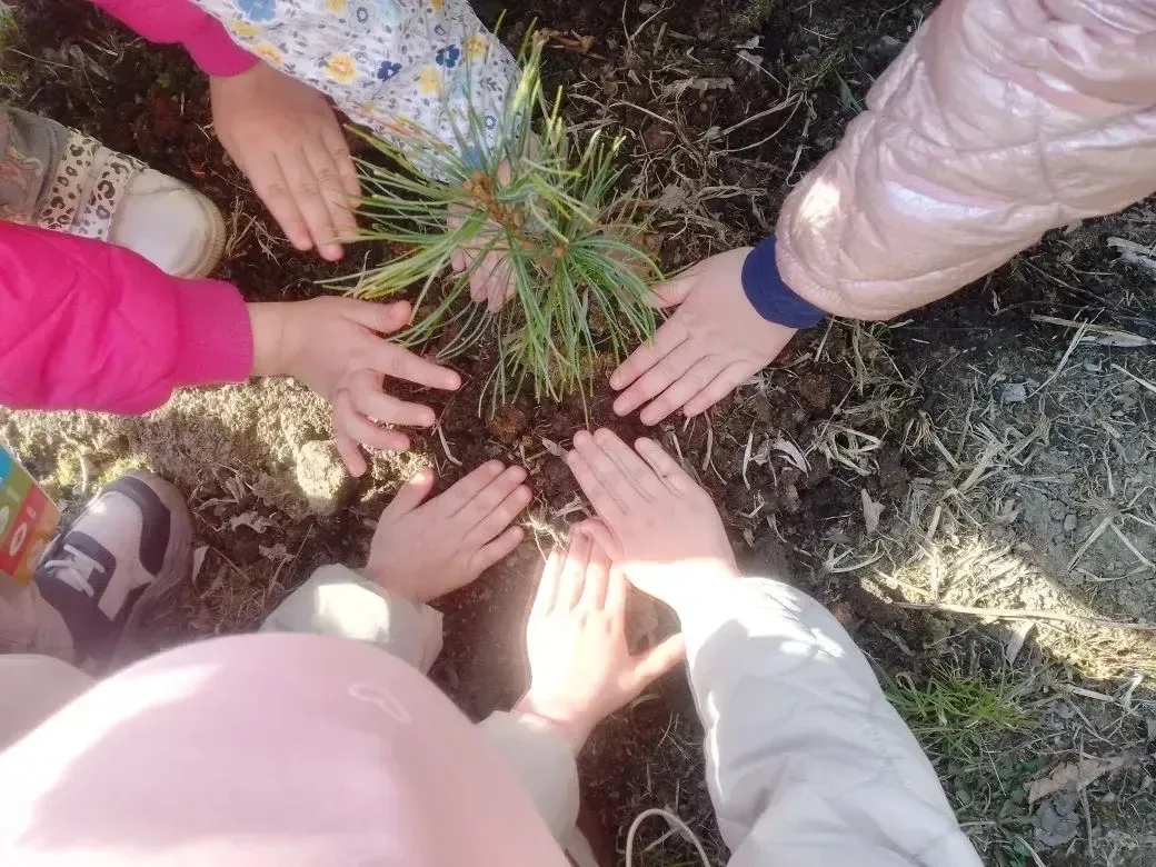 🌲В рамках двухмесячника по благоустройству воспитанники детских садов и школьники совм...