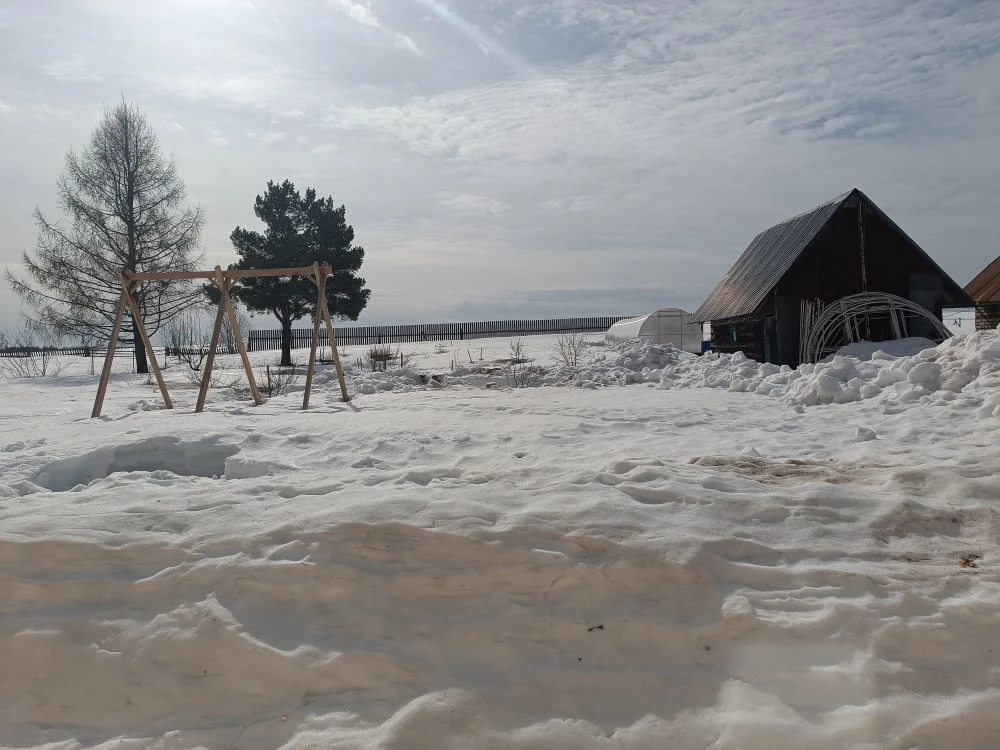 Потихоньку начинаю огородный сезон. Уже посеяла в теплице разную холодостойкую зелень, ...