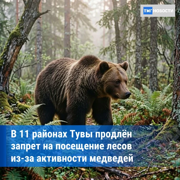 ⚡В 11 районах Тувы действует полный запрет на посещение лесов
