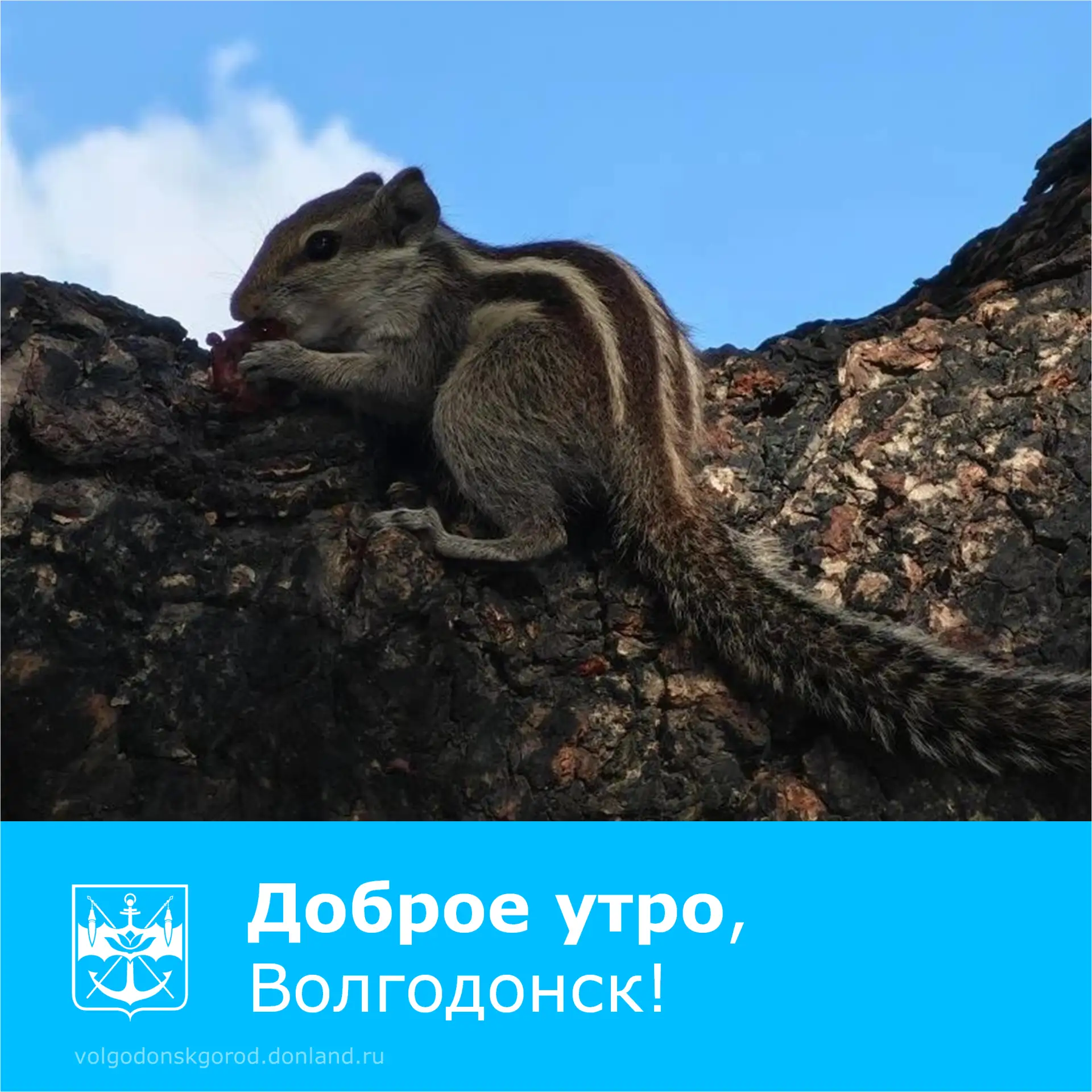 Пусть пятница будет солнечной и радостной! ❤️