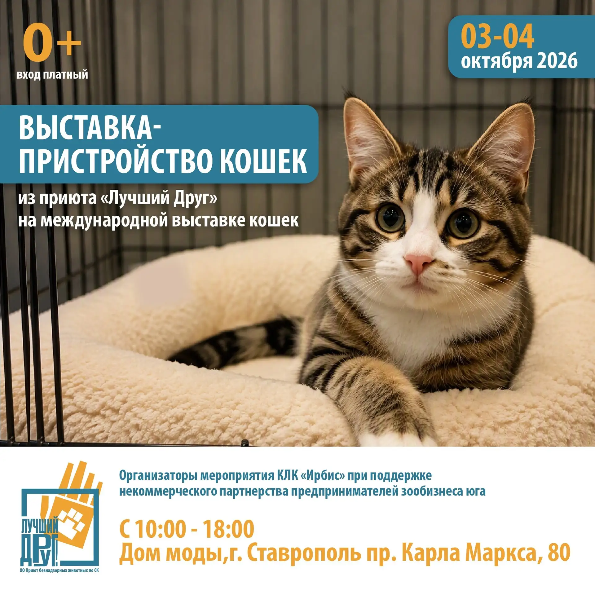 Друзья, ждём вас на традиционной выставке-пристройстве «Пойдём домой»! Вы сможете полюб...