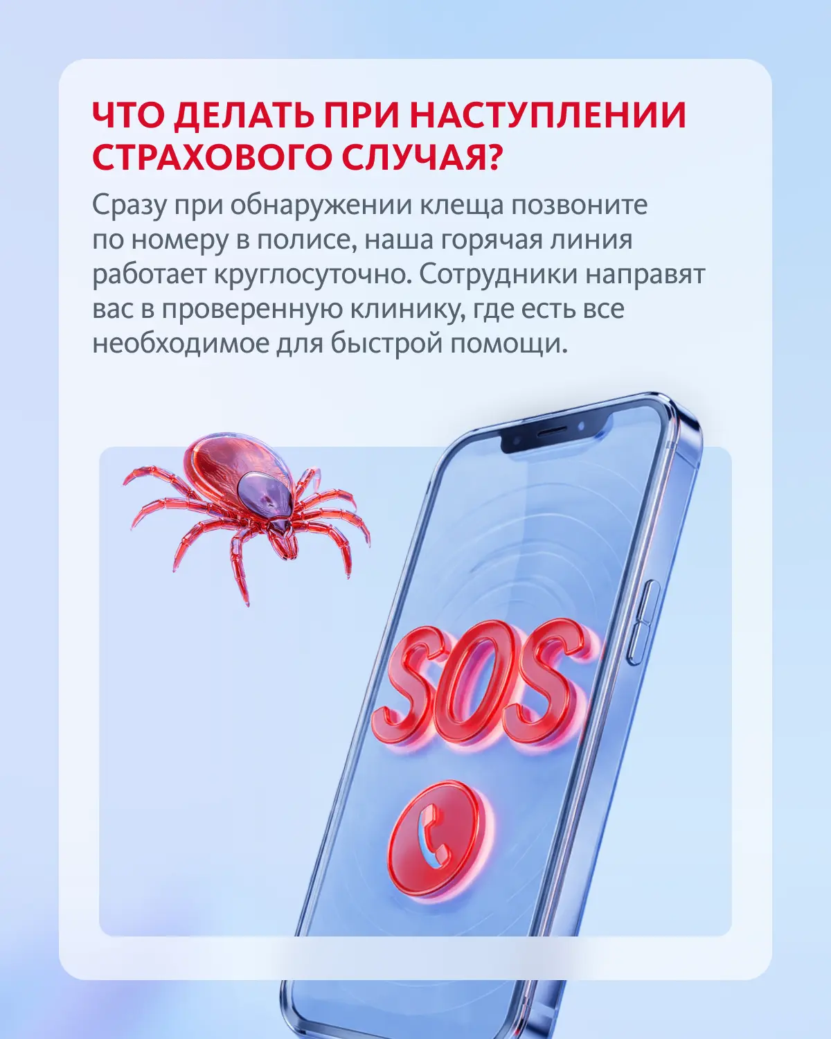 Заботливо предупреждаем об активности маленьких ниндзя 🥷   Важно быть осторожными, так как клещи уже