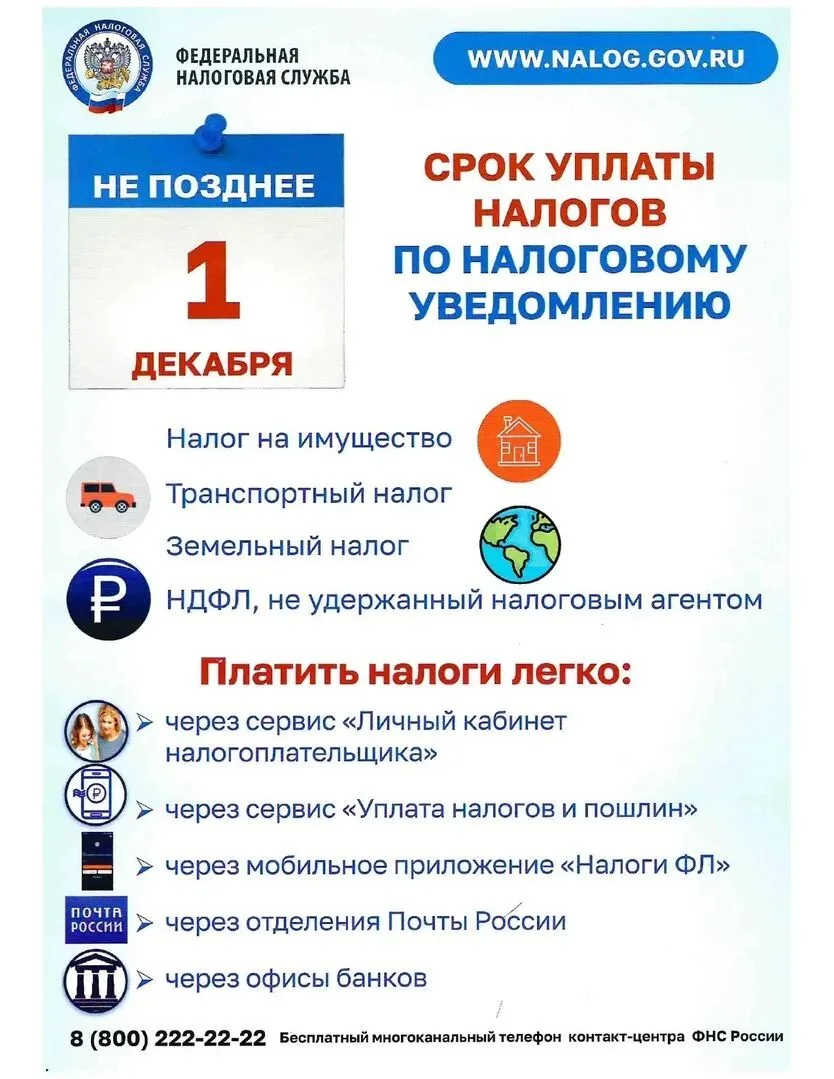 Федеральная налоговая служба напоминает: срок уплаты налогов по налоговому уведомлению ...