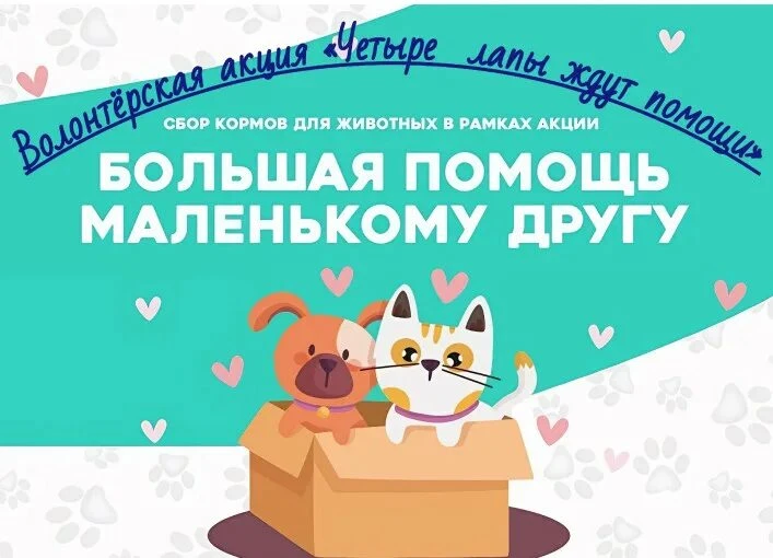🐾 БЛАГОТВОРИТЕЛЬНАЯ АКЦИЯ «ПОМОГИТЕ БРАТЬЯМ НАШИМ МЕНЬШИМ» 🐾