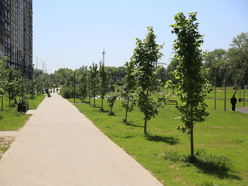 🌿 Жителей Долгопрудного приглашают на высадку кустарника в сквере «Бригантина»