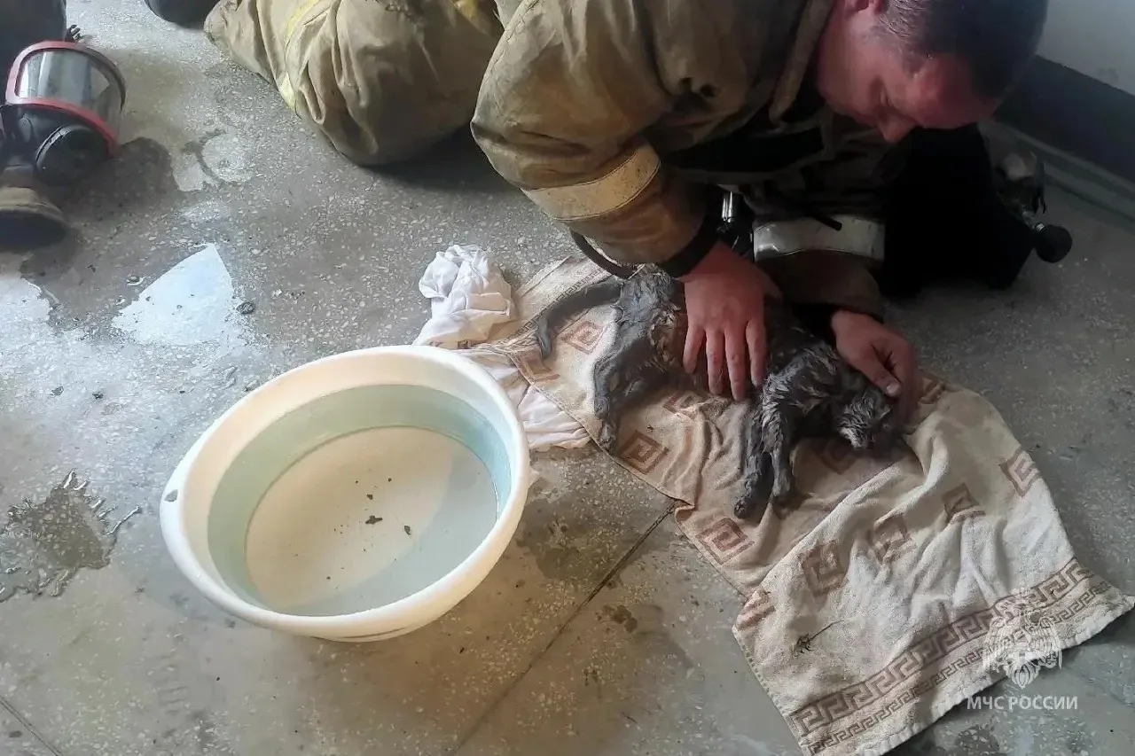 😱 Пожар в высотке на Василевского

В девятиэтажке на улице Василевского загорелась квартира. Жильцы