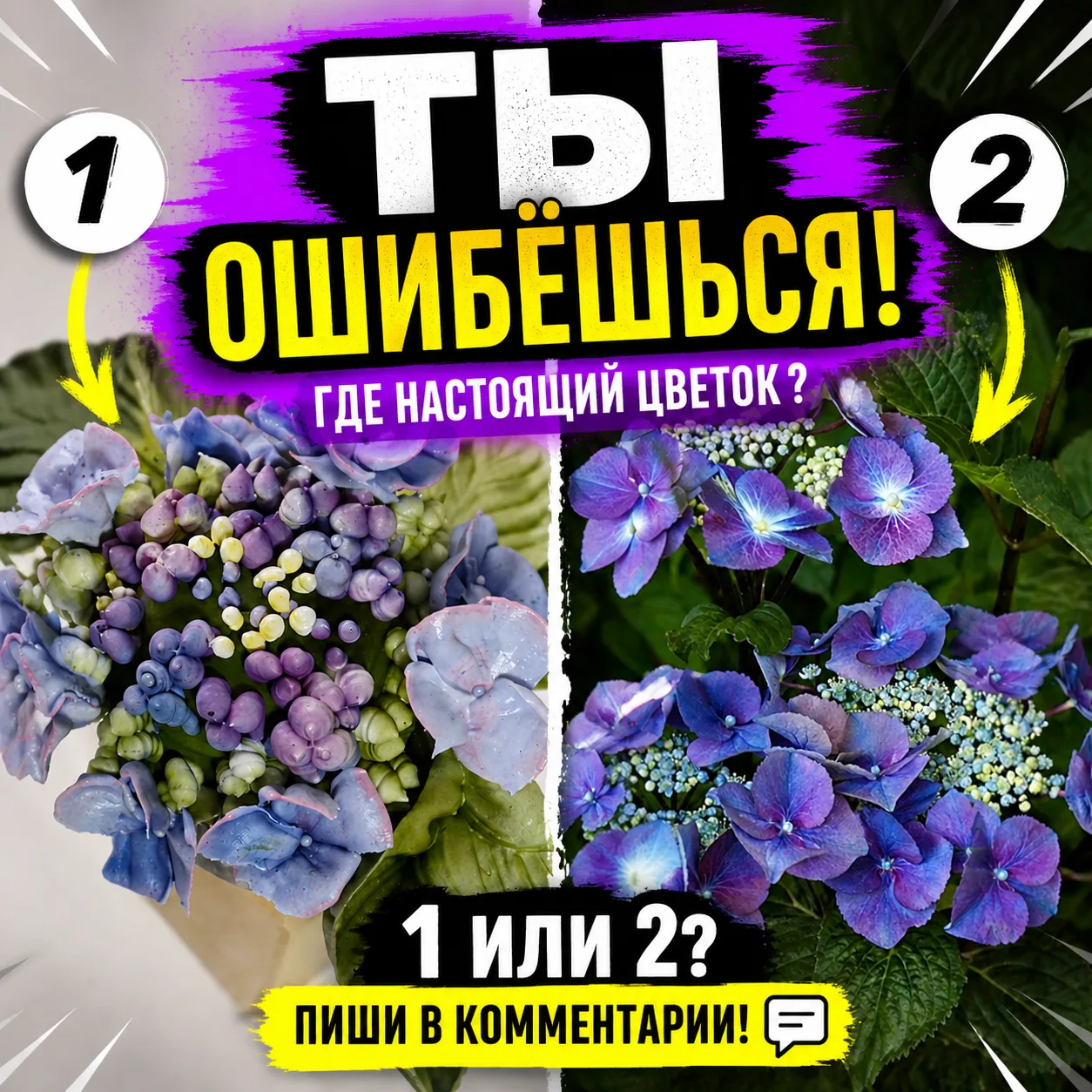 Ольга Куликова, мастер Творческого Пространства Натива Кондитер, не перестает удивлять!