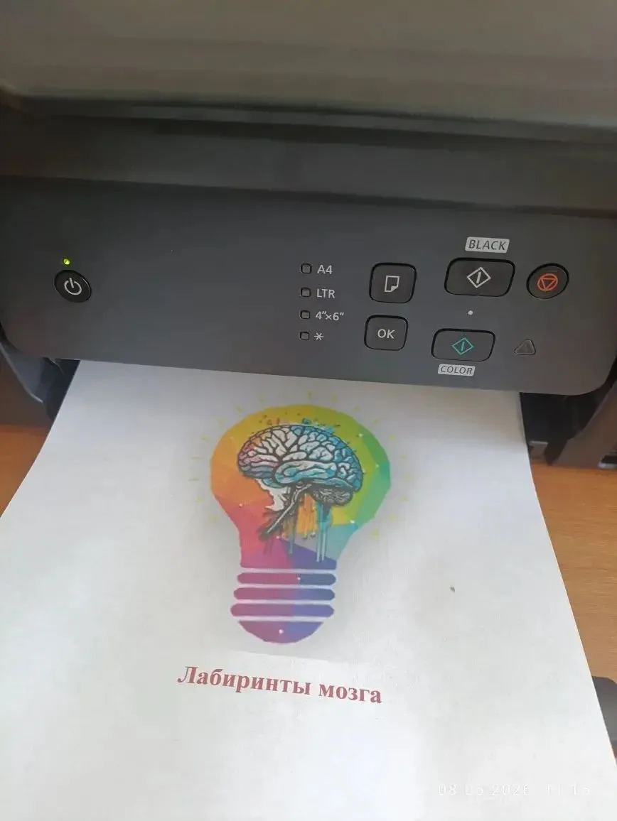 Мы выиграли грант Раиса РТ! Запускаем проект «Лабиринты мозга» для детей Тюлячинского р...