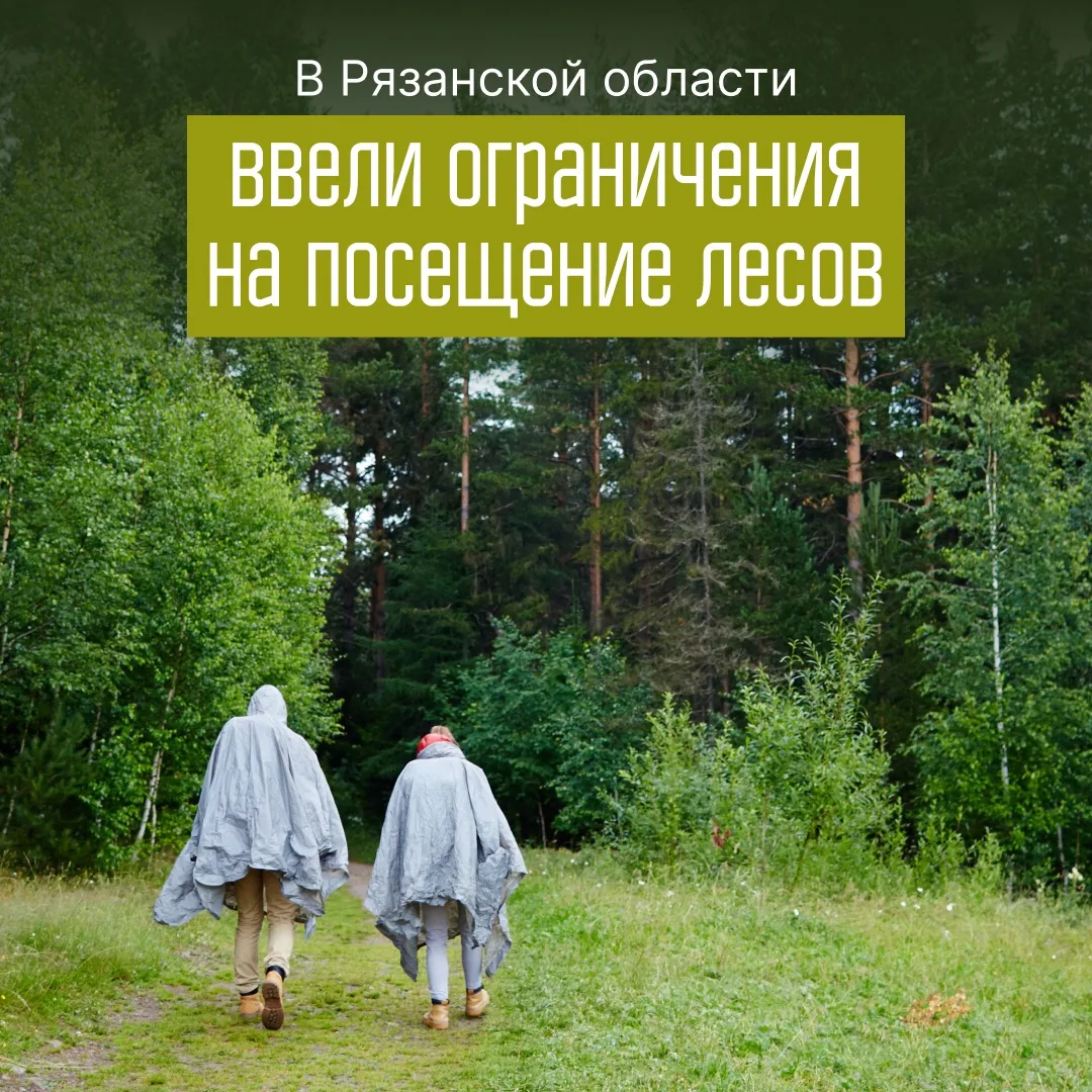 С 6 по 26 мая в Рязанской области введены ограничения на посещение лесов и въезд в них ...