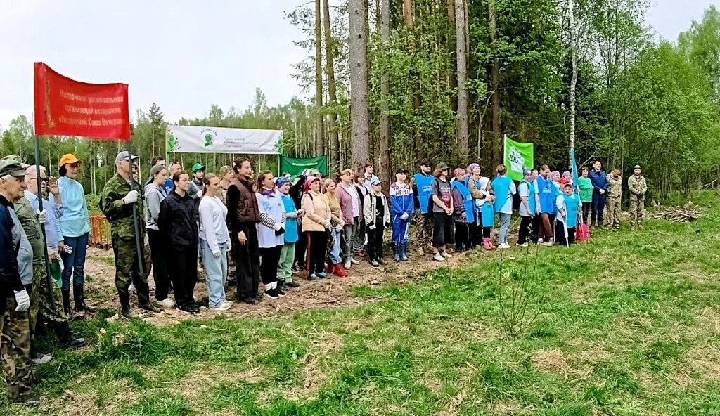 Работники НКО «Фонд капитального ремонта» приняли участие в Международной акции «Сад па...