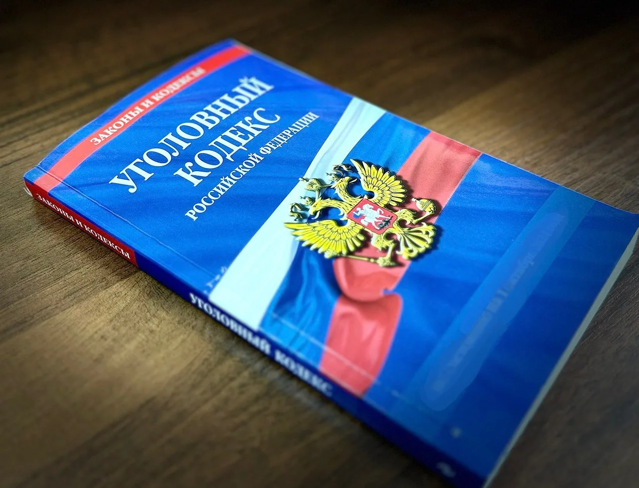 В Оренбурге возбуждено уголовное дело в отношении несовершеннолетнего, подозреваемого в...