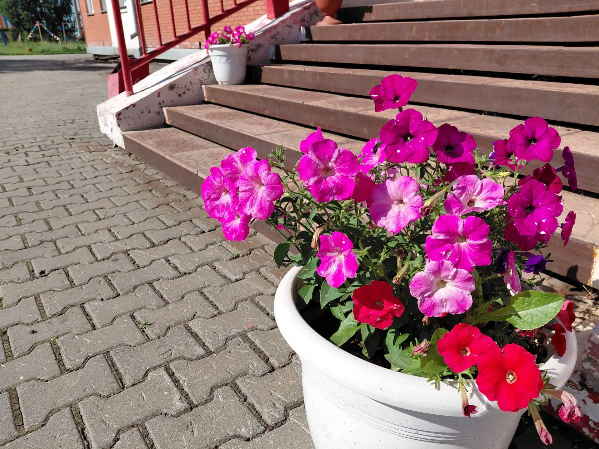 Работа на школьном участке летом: вклад каждого важен!🌻🌻🌻 🌻🌻🌻🌻