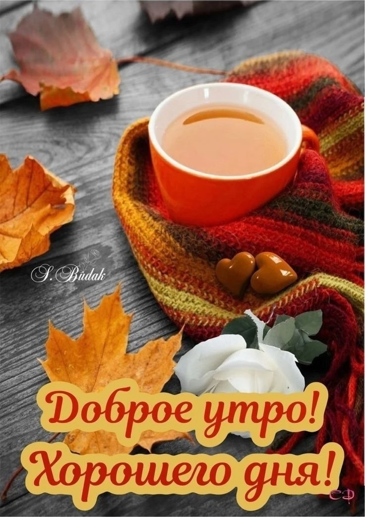 Разрешаю Понедельнику - намести мне деньги веником!!!