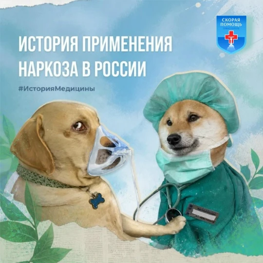 Знаете ли вы, что эффективное обезболивание в хирургии стало возможным благодаря смелым...
