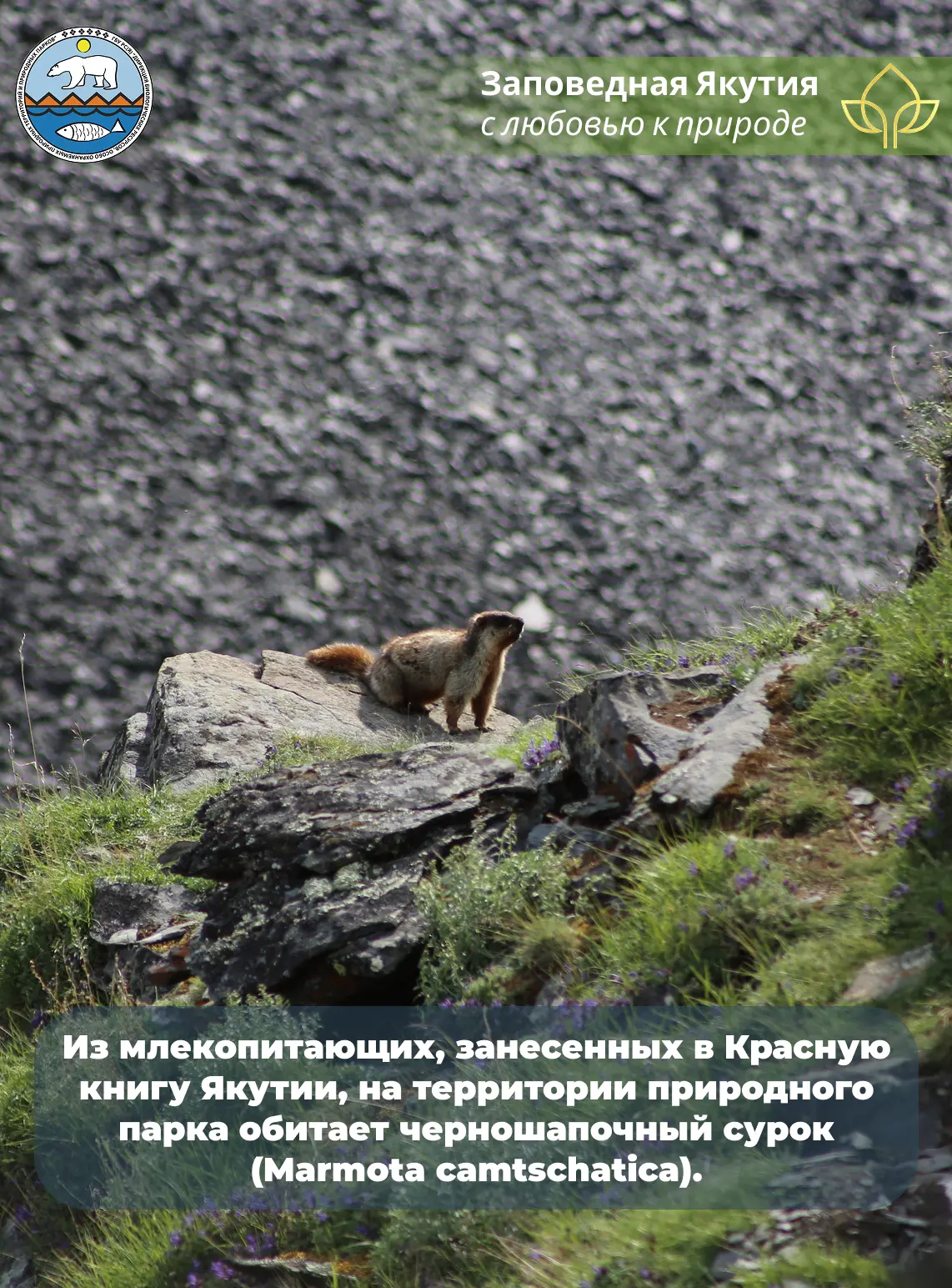⛰ В этом году Природному парку «Момский» исполняется 30 лет со дня основания. О становлении, буднях 