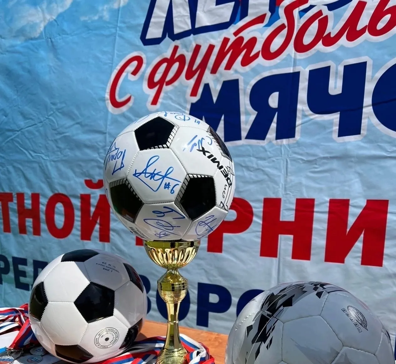 В 2026 году в рамках реализации регионального проекта «Лето с футбольным мячом», помимо...