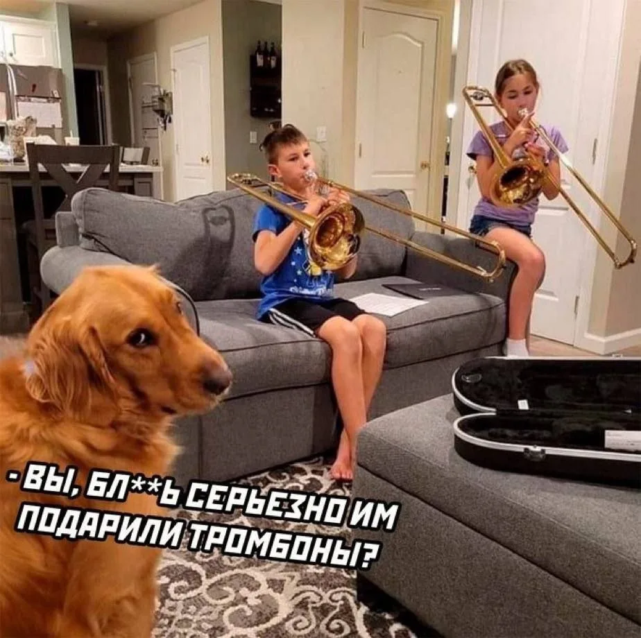 Это Позитив! Вроде.