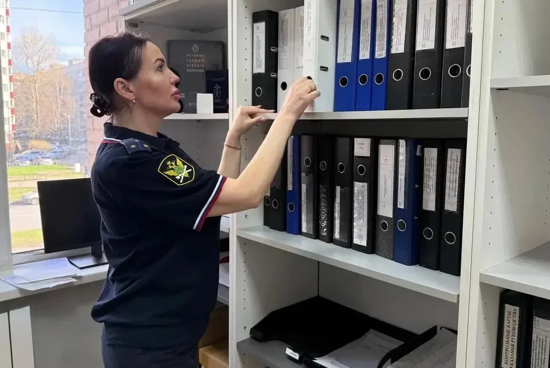 Экс-мужья петербурженки задолжали двум дочерям больше 2 млн рублей алиментов