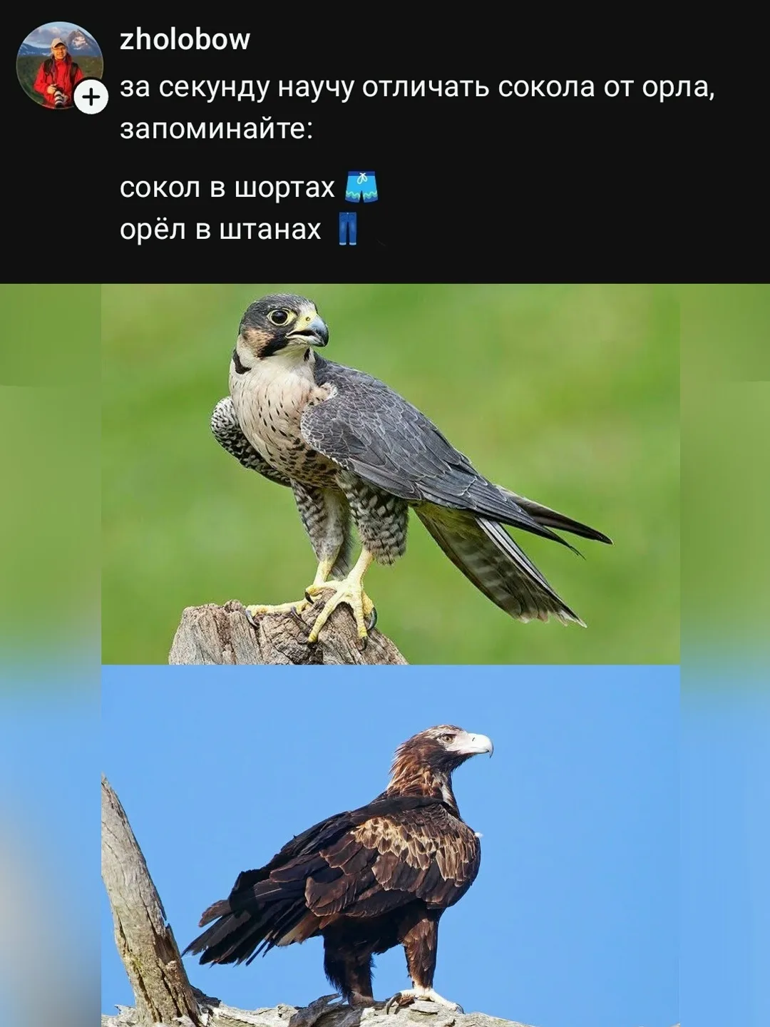 Фото