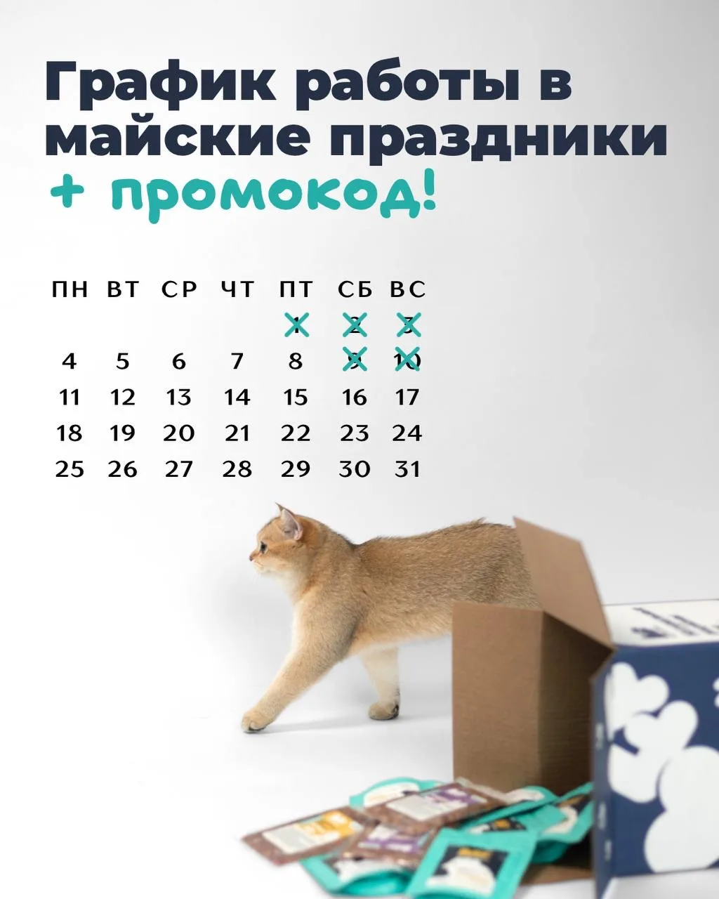 Команда BFF поздравляет вас с наступающими весенними праздниками и желает отличных выхо...