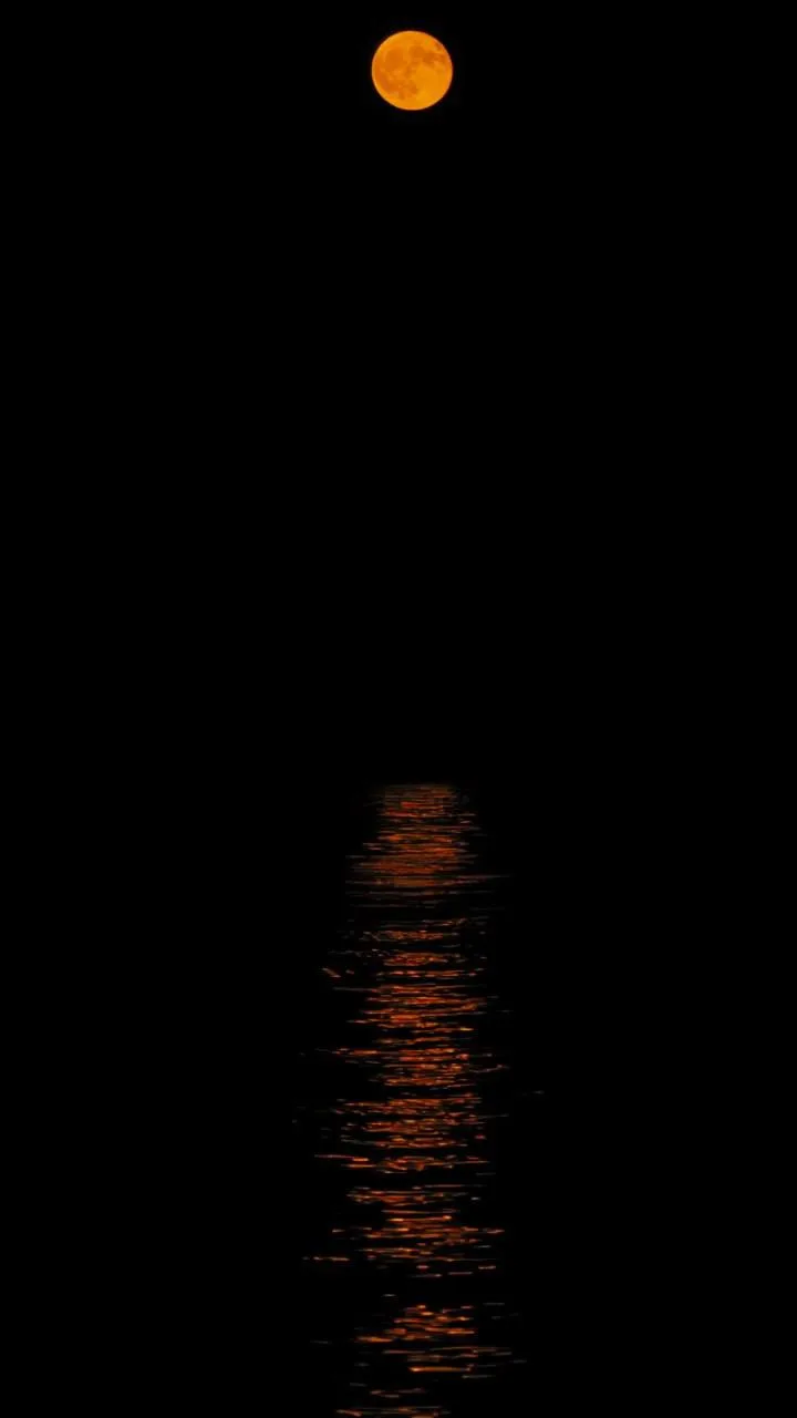 🌕 Лунная крымская ночь