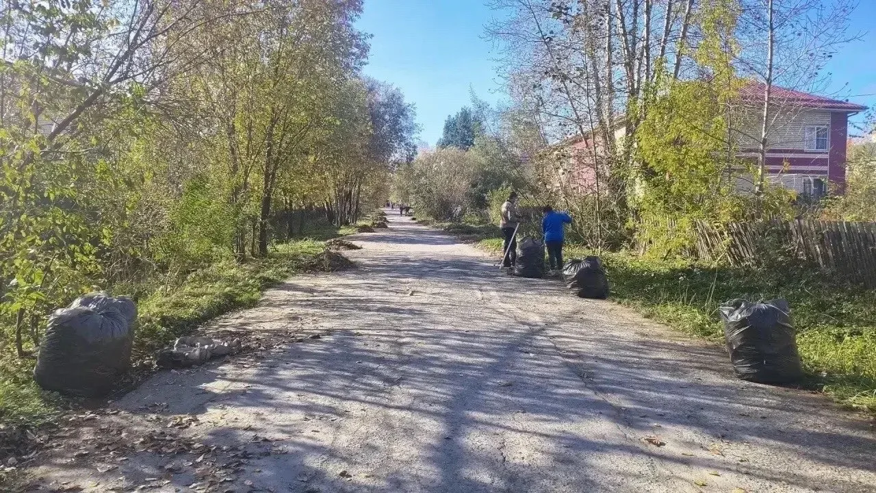 🍂 Осенний субботник: 37 организаций уже отчитались об уборке