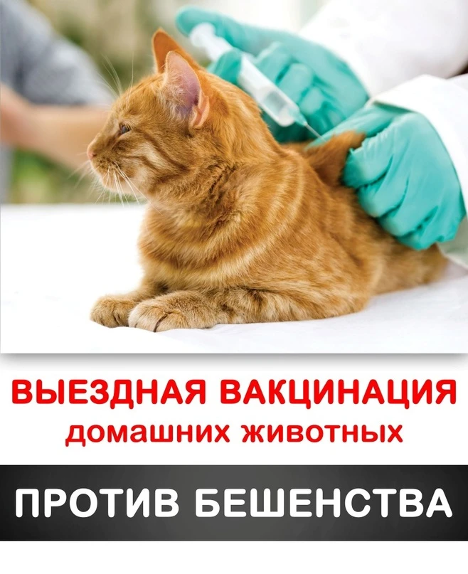 Главное управление ветеринарии города Севастополя информирует о бесплатных противоэпизо...