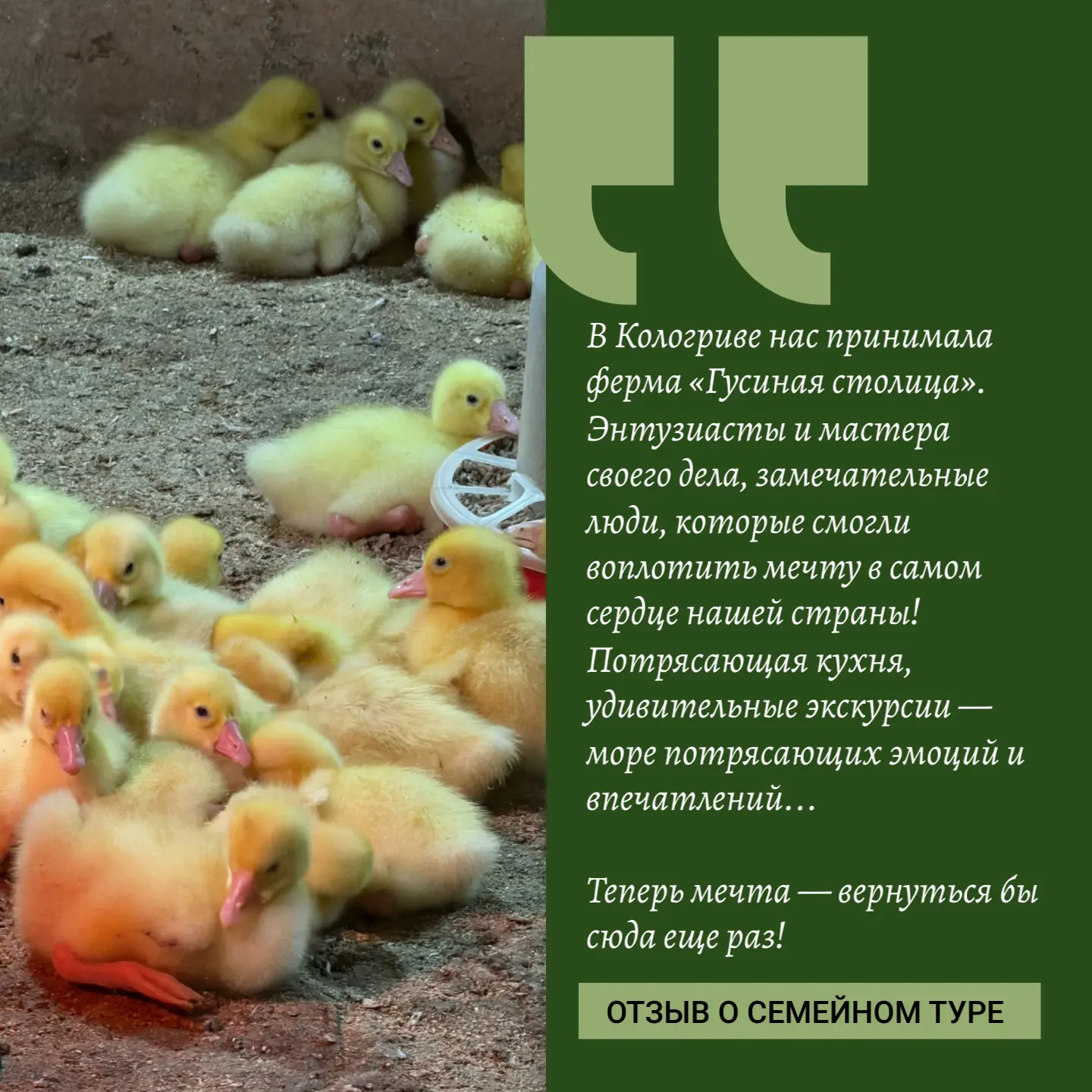 Как прошёл семейный тур в Гусиной столице